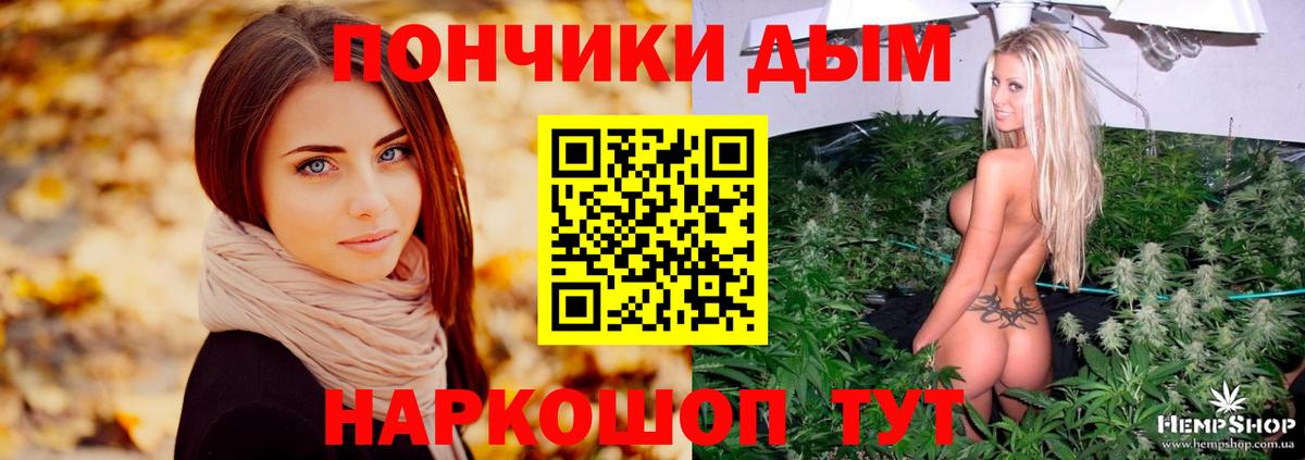 Конопля сатива Солнечногорск